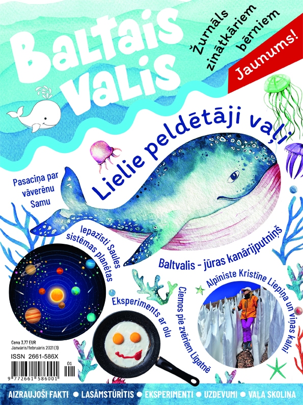 Aluksniesiem.lv raksta attēla aizvietotājs