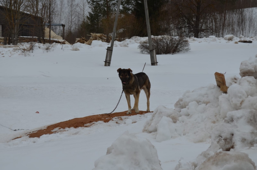 Autors: no privātā arhīva