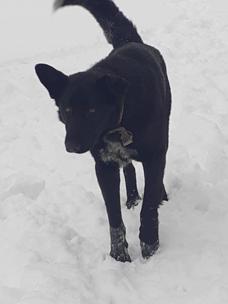 Autors: no privātā arhīva