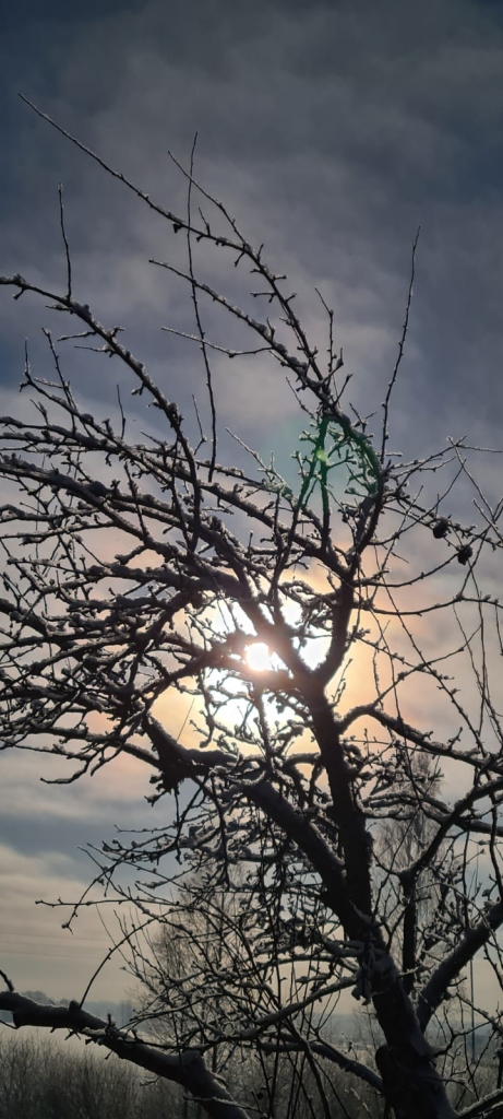 Autors: Gunita Ābeltiņa