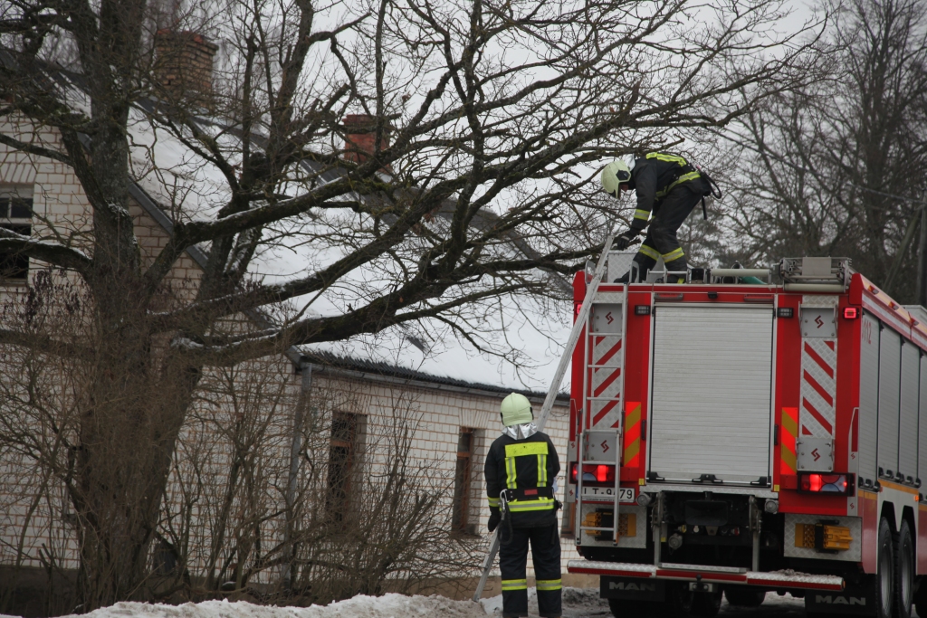 Autors: Gatis Bogdanovs