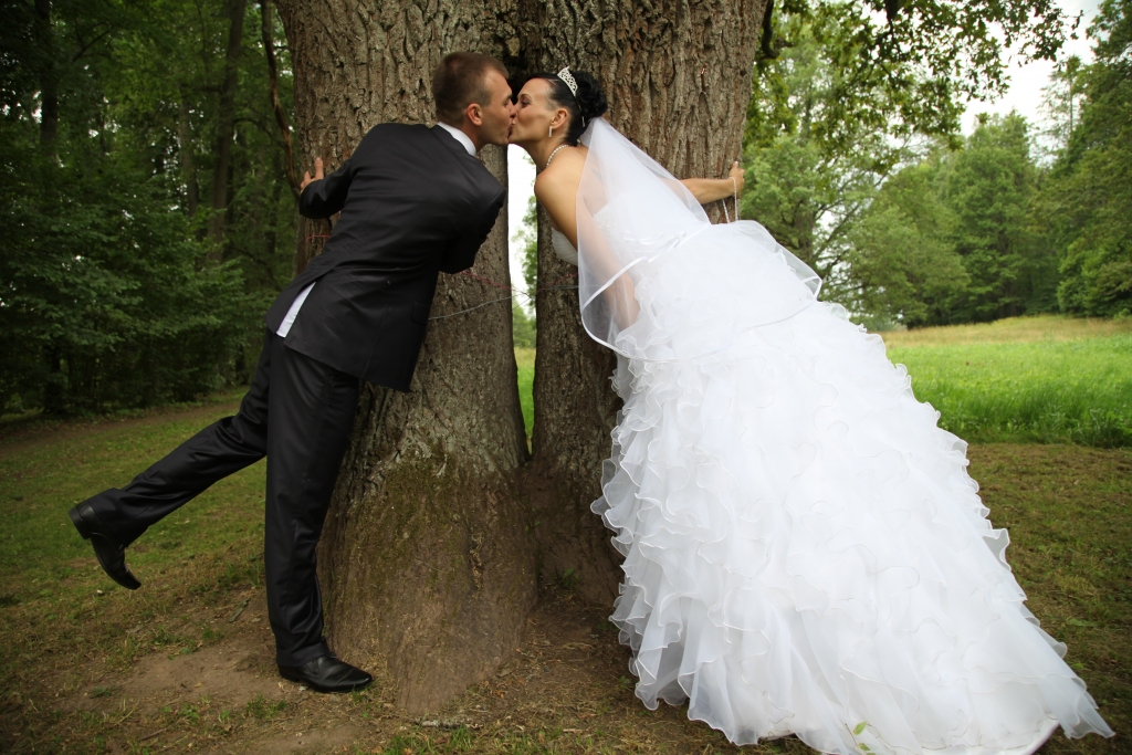 Autors: Gatis Bogdanovs