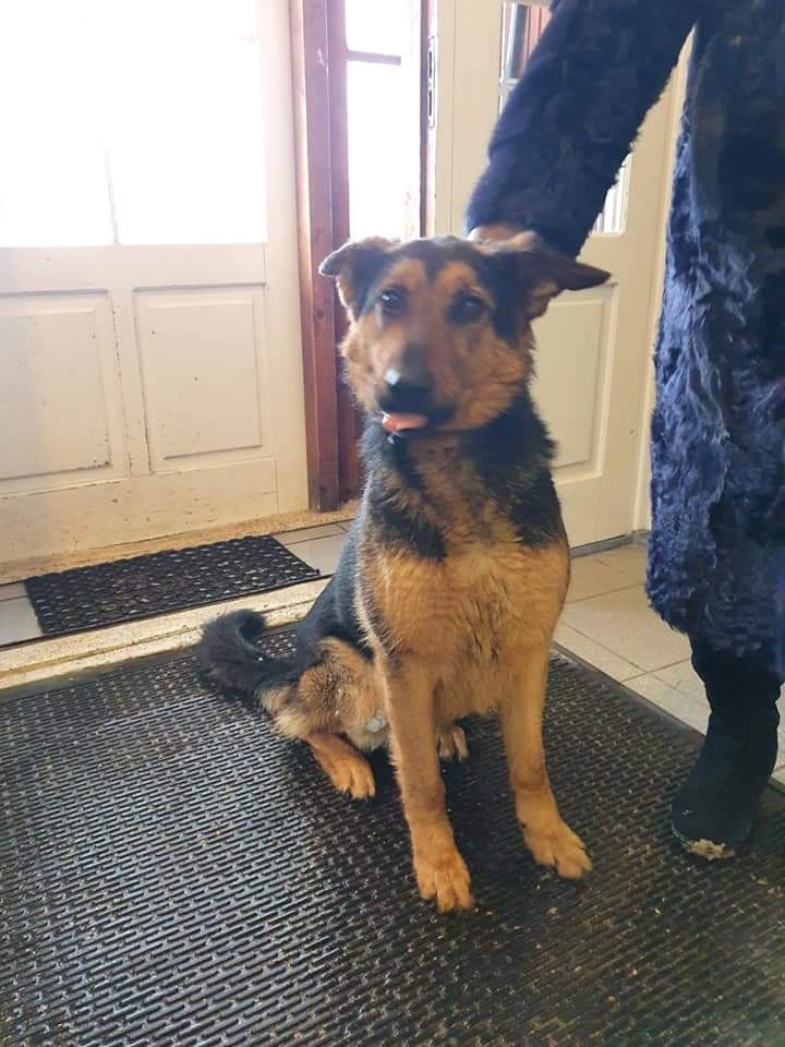 Autors: Ira Žeigure