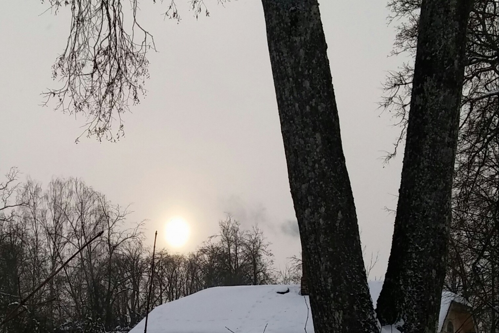 Autors: Pārsla Konrāde