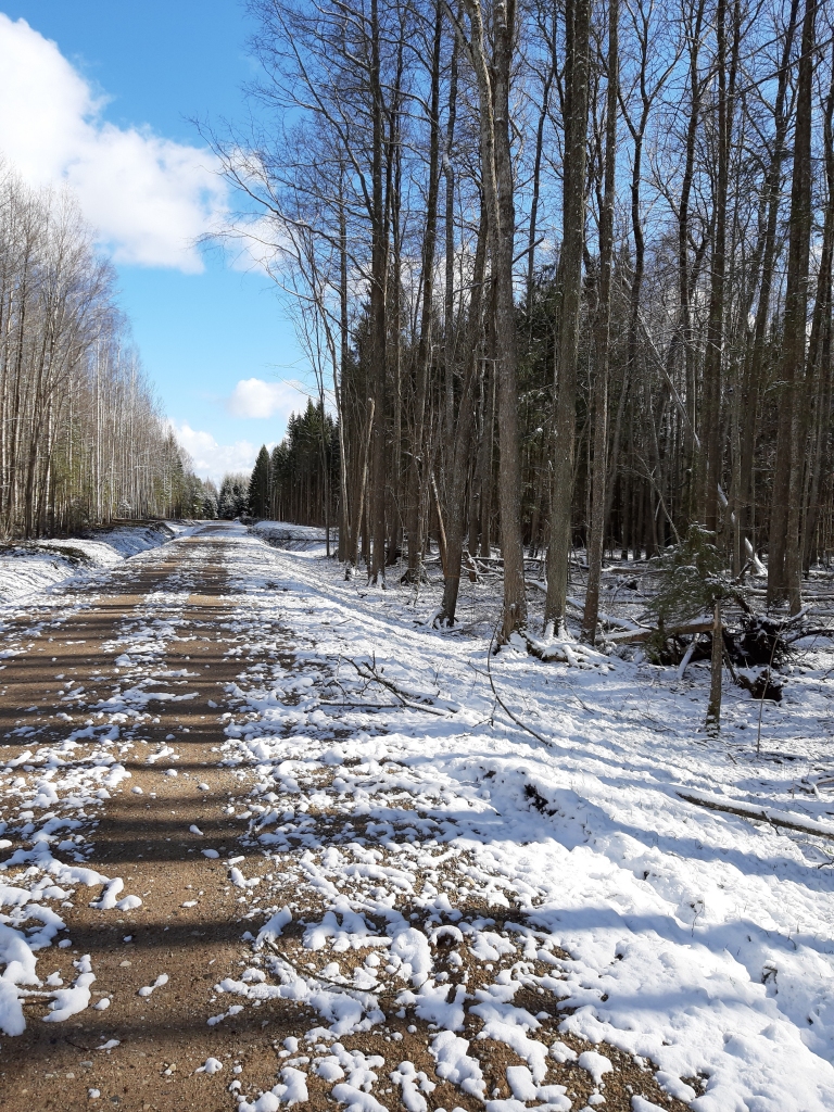 Autors: Ginta Alberte