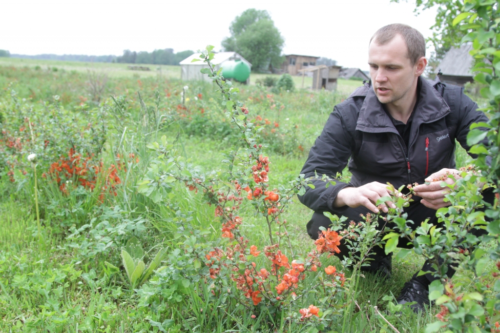 Ingars Bumburs.
Autors: no 