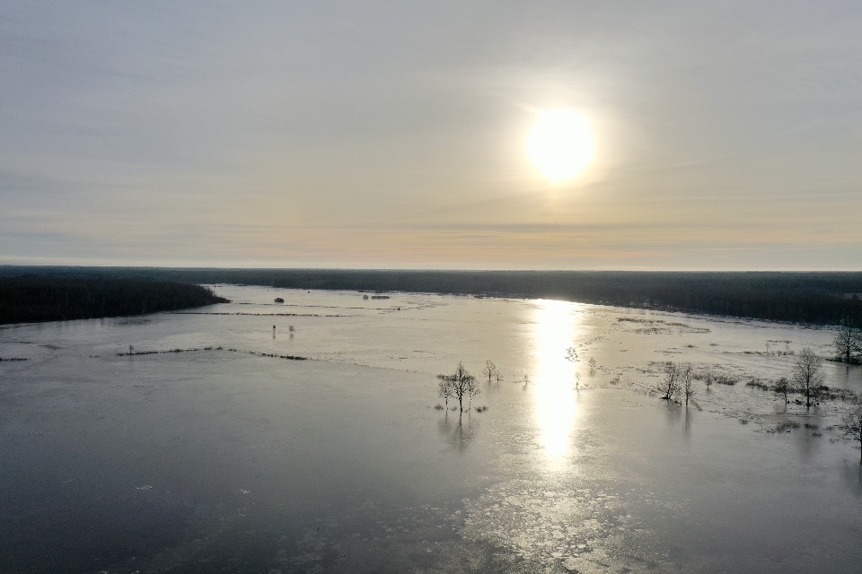 Pededze
Autors: Juris Prokofjevs