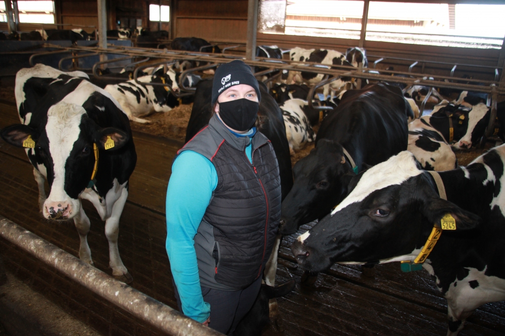 Lizuma pagasta SIA “Brīvzemnieki” šobrīd ir 380 Holšteinas šķirnes govis. Zootehniķe Iveta Zvīdriņa atzīst, ka ir “dzīvniekmīlis”. 
“Uz gotiņām noteikti nevajagot bļaut. Zinu, ka ir saimniecības, kurās govis mūk prom un tu nekādi nevari tās dabūt klāt. Mums gotiņas nāk klāt visu laiku,” stāsta I.Zvīdriņa un piekrīt, ka govis noteikti jūt kvalitatīvo un mīlestības pilno aprūpi. Viņa tic, ka arī tas ir viens no iemesliem, kāpēc Lizuma pagasta SIA “Brīvzemnieki” ir Latvijas produktīvāko ganāmpulku topa augšgalā. Vidējais izslaukums dienā ir apmēram 45 kilogrami no govs, bet ir arī ražīgo govju grupa, kas dod gandrīz 52 kilogramus dienā.
Autors: Gatis Bogdanovs