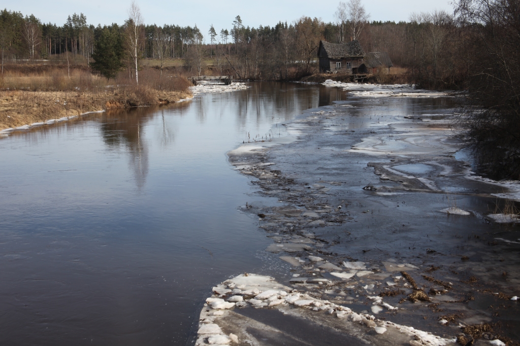 Gaujas galvenā gultne Velēnā pie bijušajām Jaunzemnieku dzirnavām jau ir atbrīvojusies no ledus, tomēr malās vēl palikuši nelieli ledus klājumi.
Autors: Gatis Bogdanovs