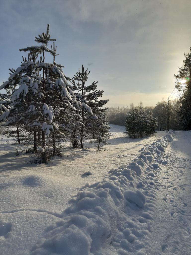 Autors: Ginta Alberte