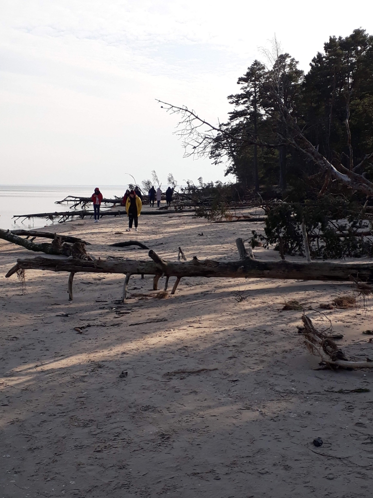 Profilakses nolūkos pret ērču encefalītu vēlams vakcinēties ikvienam iedzīvotājam, uzsver speciālisti. Gan jau vasarā ceļosim pa Latviju un apmeklēsim arī endēmiskās teritorijas. Daudzas no tām atrodas pie jūras.
Autors: Ilze Šķietniece
