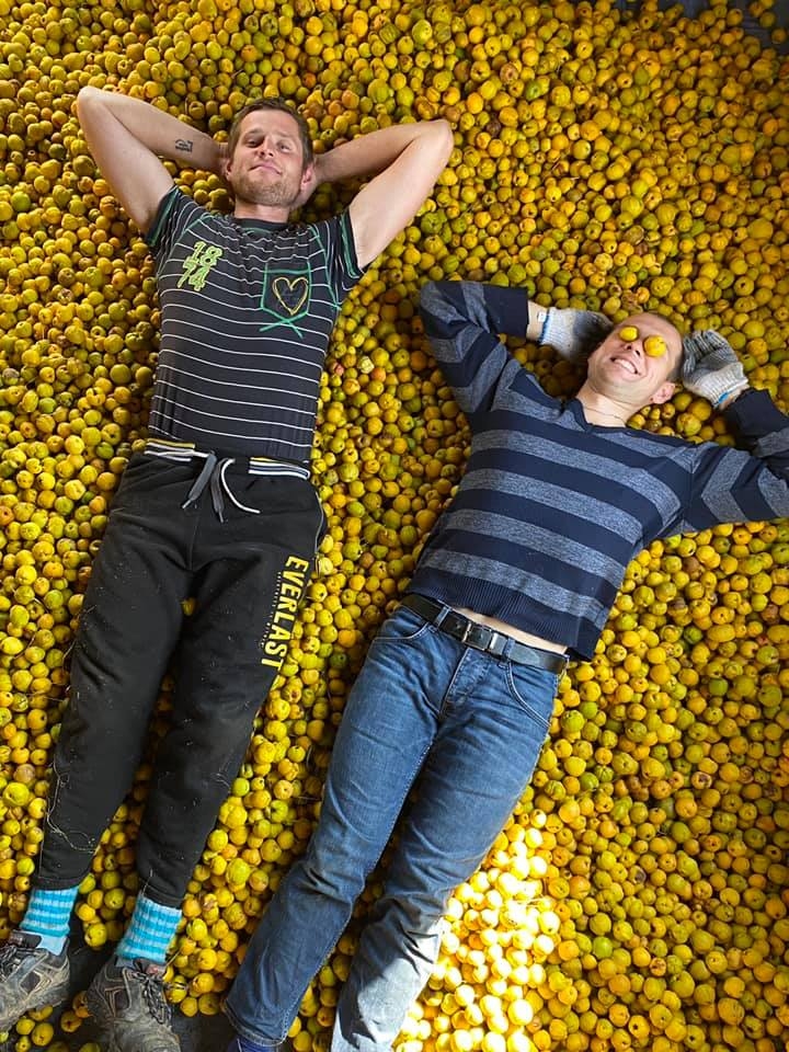 Brāļi Ingars un Gunārs Bumburi 
2015.gadā izdomāja, ka ir kaut kas jēdzīgs jādara savā senču zemē, un uzsāka cidoniju audzēšanu. Pirmajā gadā pasūtījumam aptrūkās cidoniju, un tās tika lasītas mammas mazdārziņa cidoniju krūmā. Pagājuši pieci gadi un cidoniju vairs netrūkst! 
Autors: no personiskā arhīva