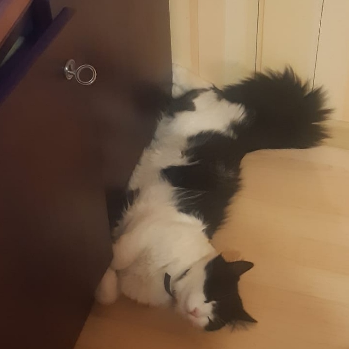 Autors: no privātā arhīva