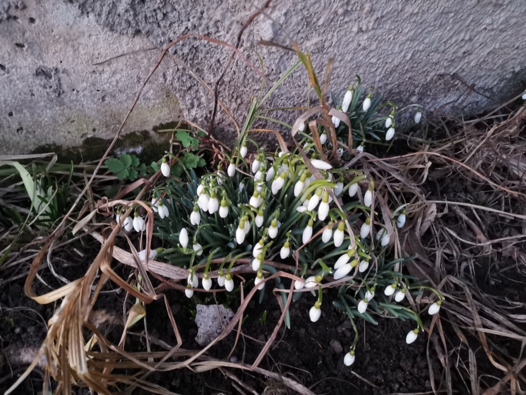 Autors: no privātā arhīva