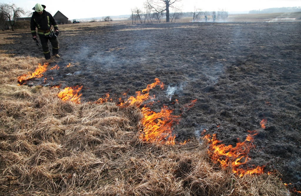 Gulbenes novads kūlas dedzināšanā izceļas. Divus gadus pēc kārtas – 2019 un 2020.gadā – kūlas ugunsgrēku skaita ziņā pārspējam visus Vidzemē. Redzēsim, kā būs šogad, – pirmie 4 ugunsgrēki jau dzēsti pagājušās nedēļas nogalē. 
Autors: no “Dzirksteles” arhīva