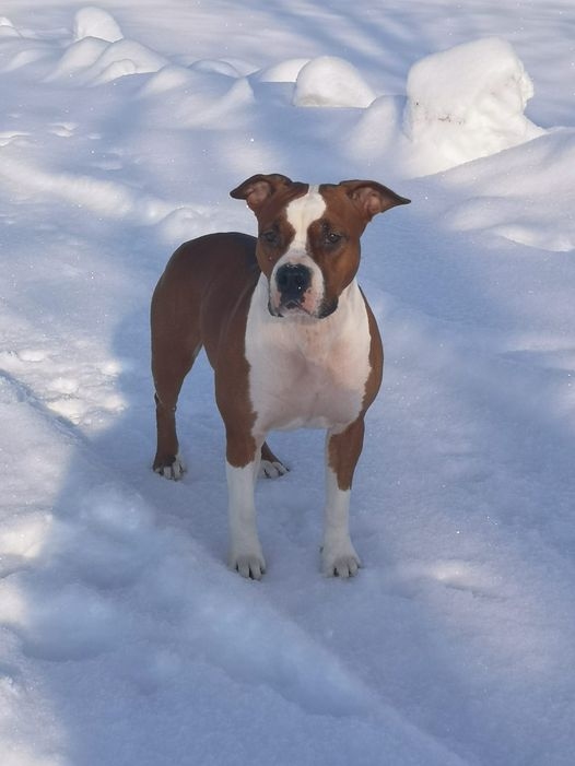 Autors: no privātā arhīva