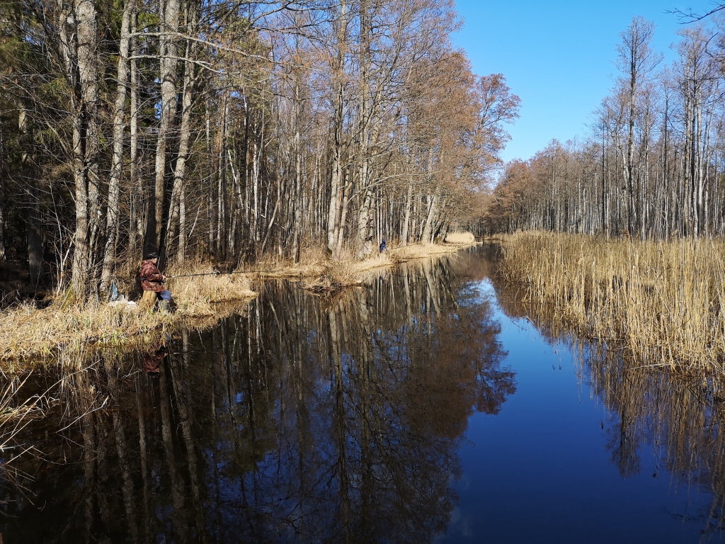 Autors: no Artūra Veinberga albuma