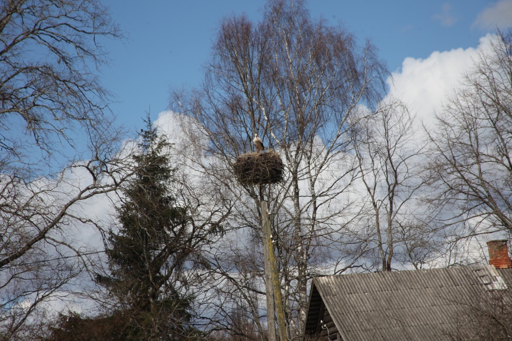 Autors: Gatis Bogdanovs