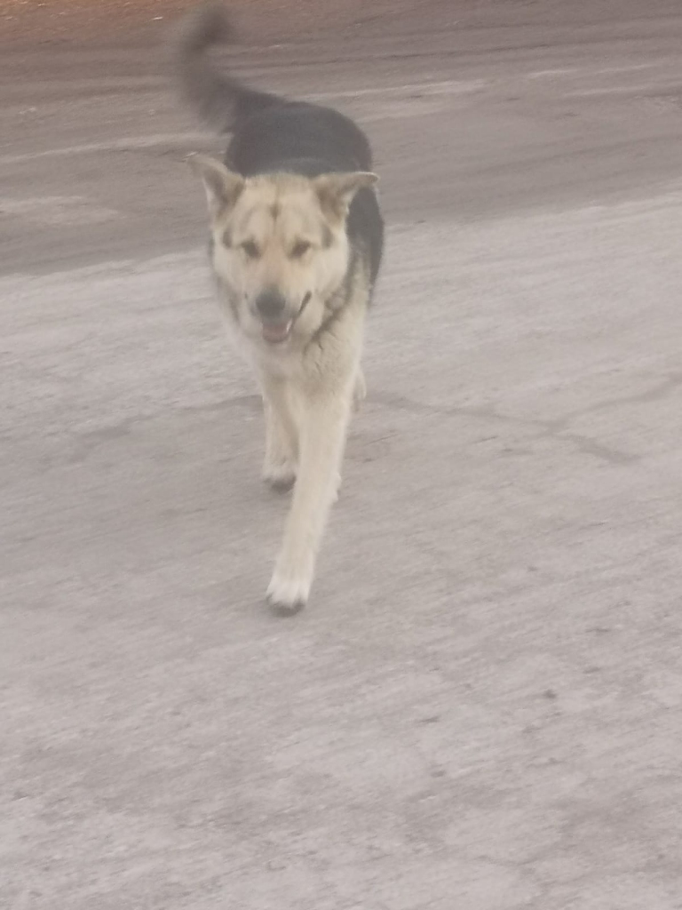 Autors: no privātā arhīva