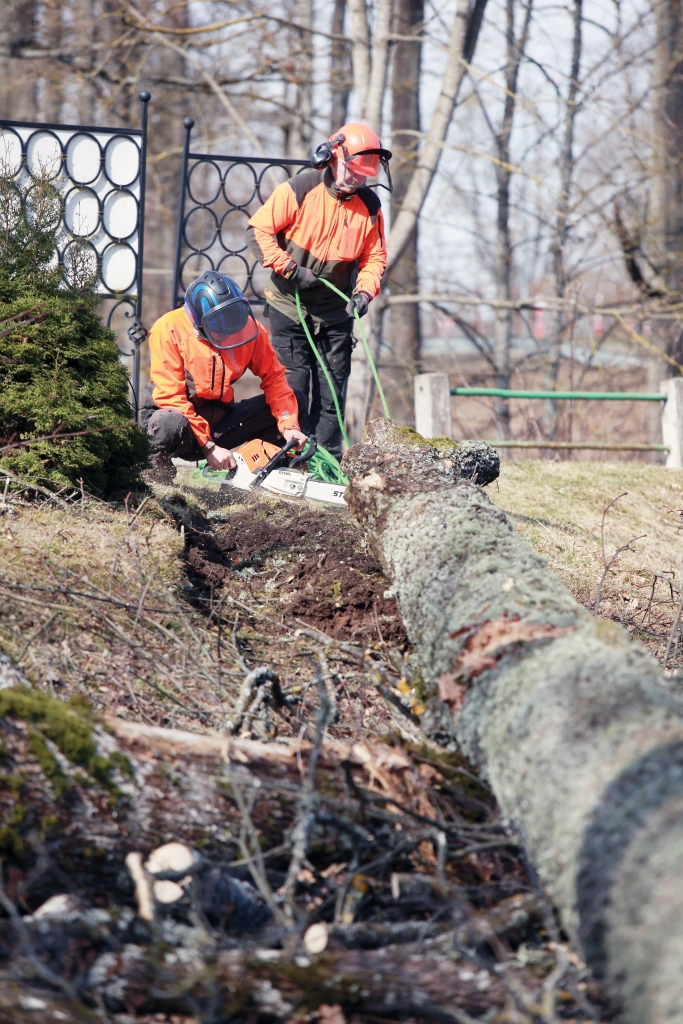 Pie Gulbenes evaņģēliski luteriskās baznīcas augošie bīstamie koki tika apsekoti pērn 24.septembrī, bet 12.aprīlī šie koki tika nozāģēti.
Autors: Ilgvars Matīss
