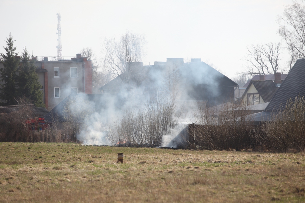 Autors: Gatis Bogdanovs