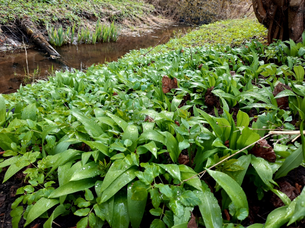 Autors: Gatis Bogdanovs