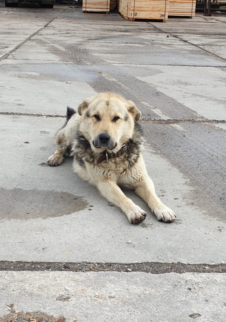 Autors: no privātā arhīva