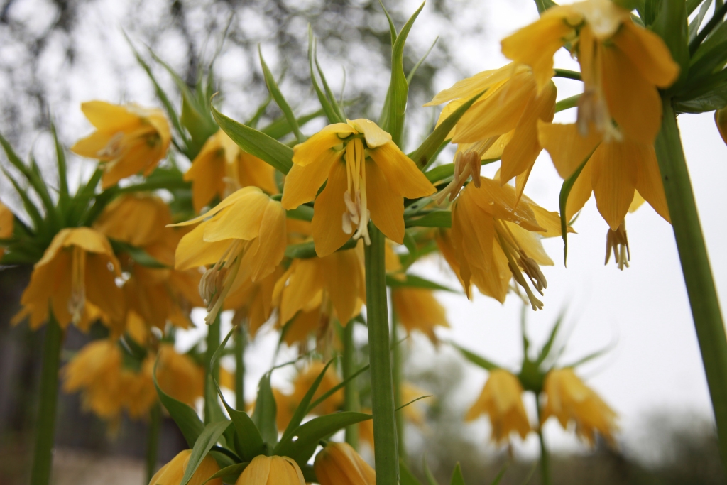 Autors: Gatis Bogdanovs