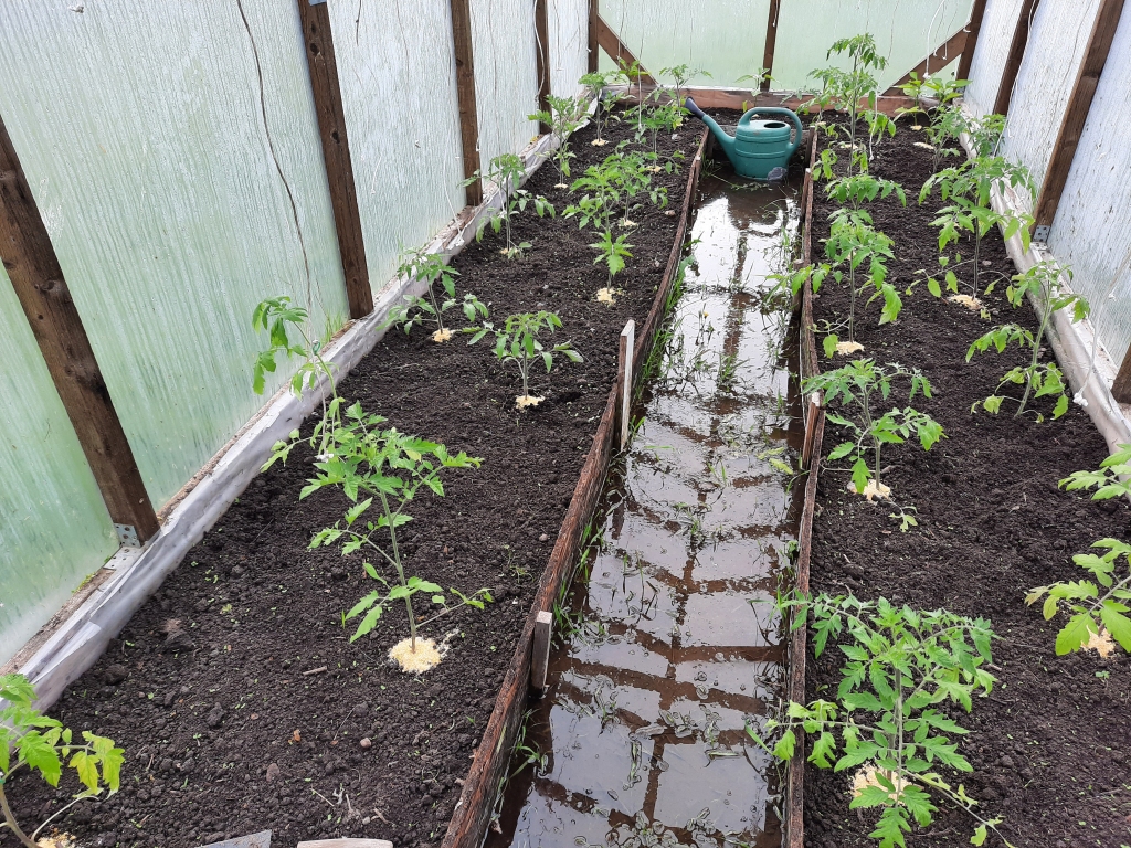 Autors: Gatis Bogdanovs