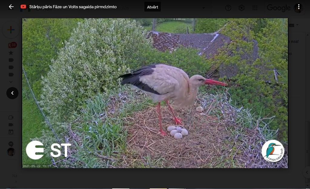 Aluksniesiem.lv raksta attēla aizvietotājs