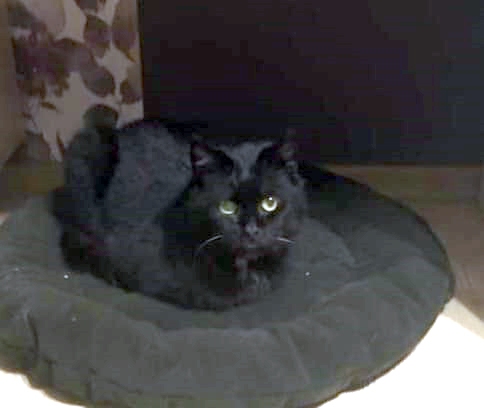 Autors: no privātā arhīva