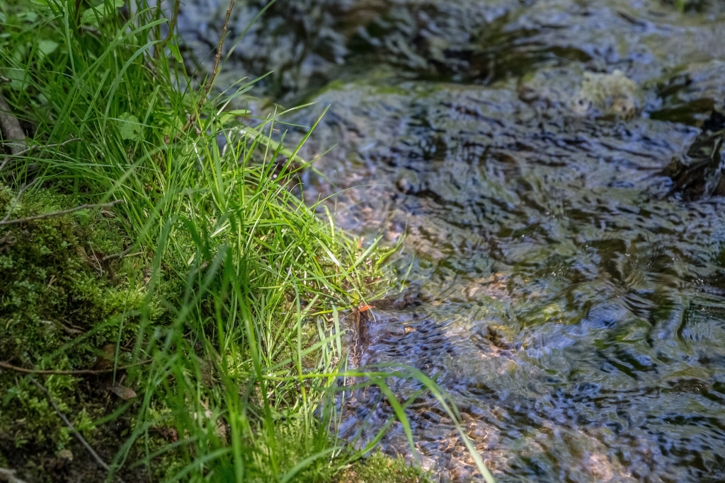 Autors: Zigmunds Kazanovskis