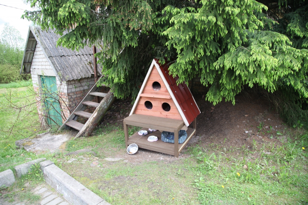 Par glītu kaķu namiņu parūpējušies Gulbenes slimnīcas darbinieki, kuri plašāku publicitāti nevēlējās.
Autors: Gatis Bogdanovs