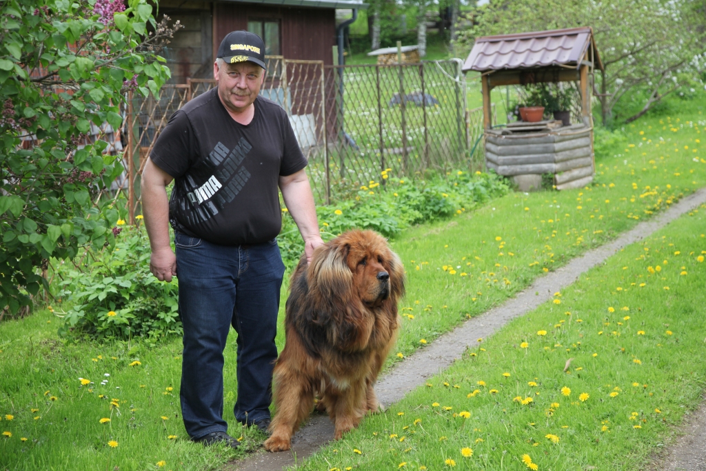 Adrians Novokreščenihs vēlējās tieši tādu suni, kāds ir Moris – majestātisku un spēcīgu.
Autors: Gatis Bogdanovs