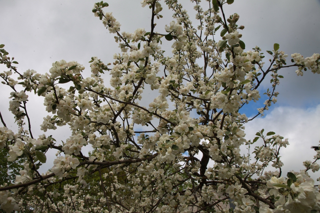 Autors: Gatis Bogdanovs