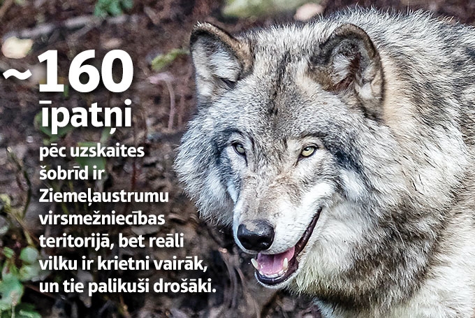 Autors: no “pexels.com”