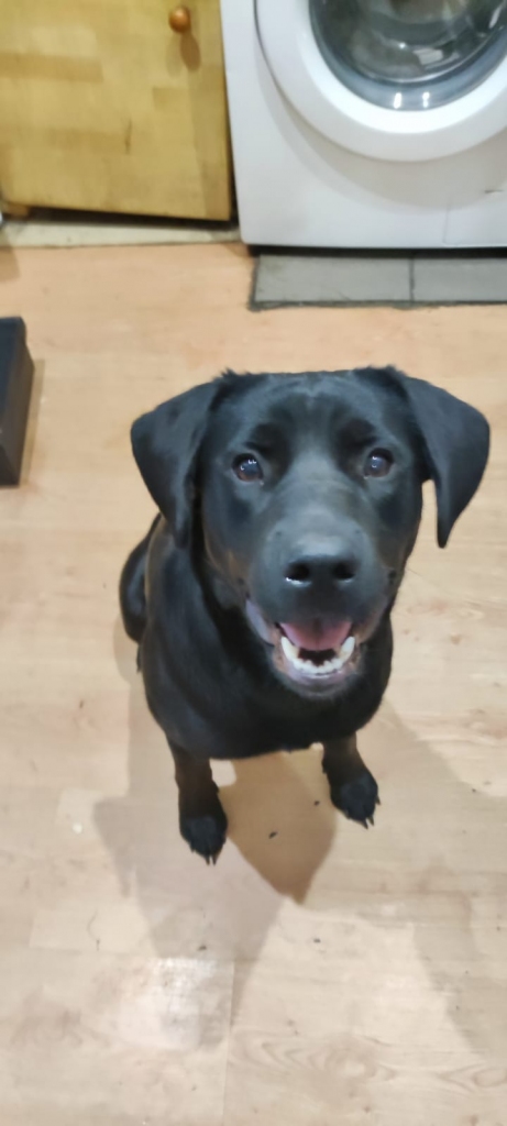 Autors: no privātā arhīva