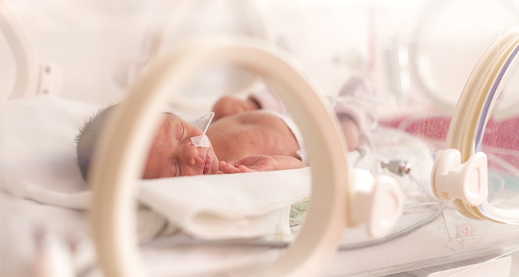 Ja mazulis nespēj uzņemt visu nepieciešamo uzturvielu apjomu tikai ar pienu, viņu baro, venozi ievadot nepieciešamās uzturvielas – taukus, olbaltumvielas un ogļhidrātus.
Autors: no “Mybaba.com”