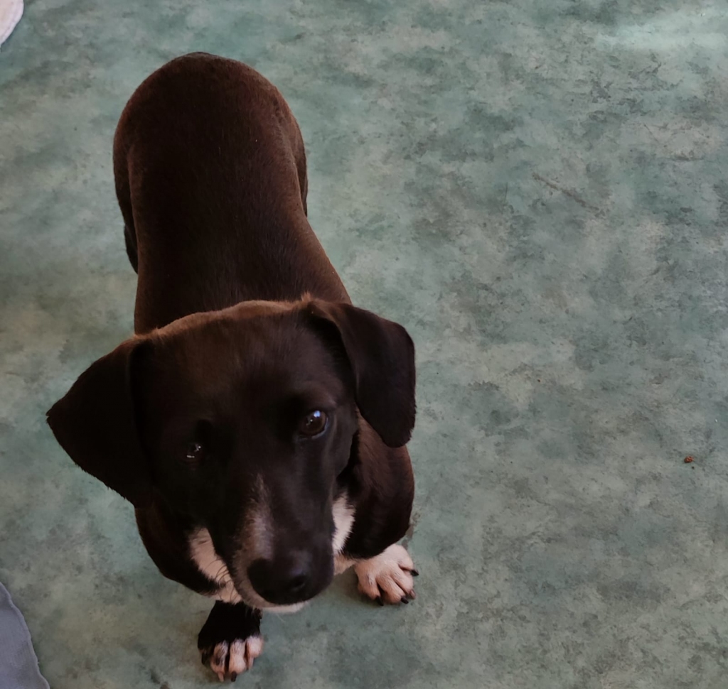 Autors: no privātā arhīva