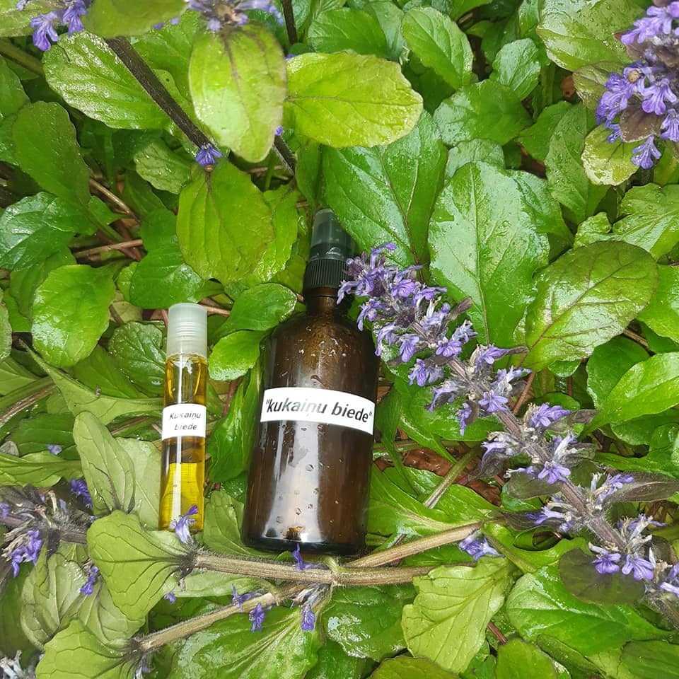 Lidijas Steberes pagatavotais preparāts odu atbaidīšanai. 
Autors: no personiskā albuma