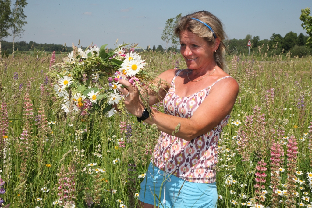 Līgosvētku vainags ir kā dabas kronis. Tomēr tas ir pagaidu apbalvojums. Mirkļa skaistums. Tā dziļākā jēga ir nemateriāla. Apļa forma ir kā saulei, kā siera ritulim un atgādina par mūžīgo, kas turpinās no paaudzes paaudzē. Tāpat kā Līgosvētku tradīcija. “Dzirkstele” Līgosvētku vainagu no trejdeviņām zālītēm, no pļavu un dārza puķēm pina kopā ar Gulbenes floristi Larisu Stradiņu. Vēlam izbaudīt svētkos puķu smaržu, siera, medus un alus garšu! Līgo!
Autors: Gatis Bogdanovs