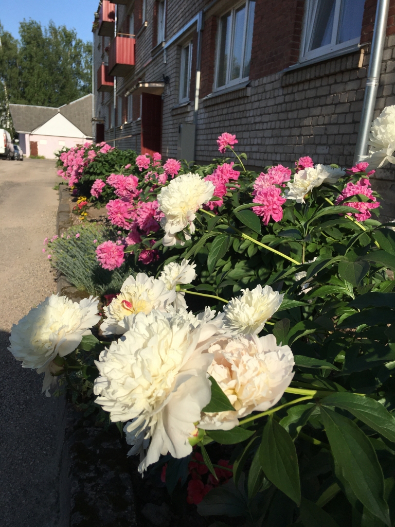 Autors: Diāna Odumiņa