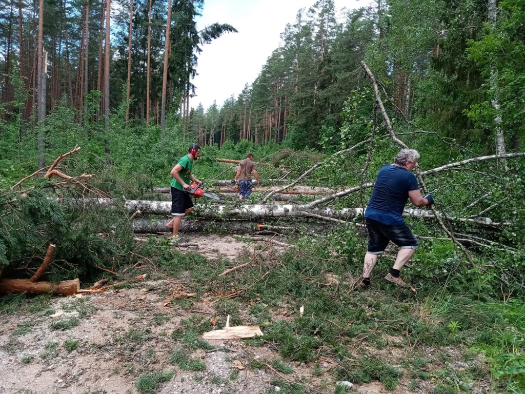 Tirza
Autors: Modrīte Markova