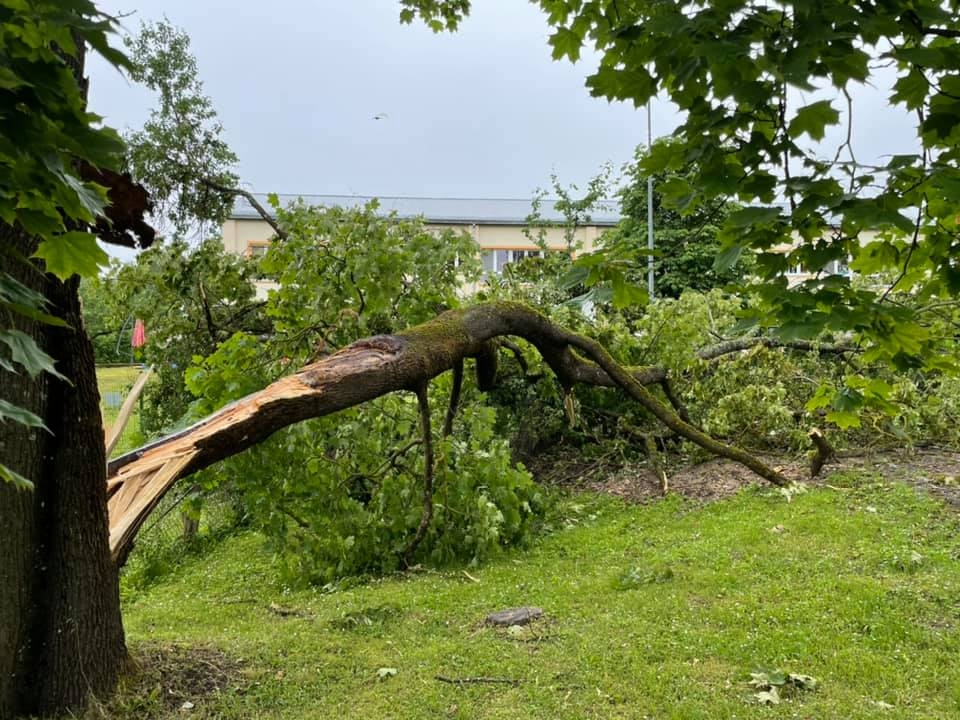 Autors: Diāna Odumiņa