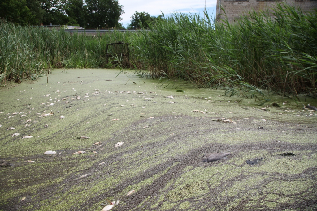 Autors: Gatis Bogdanovs