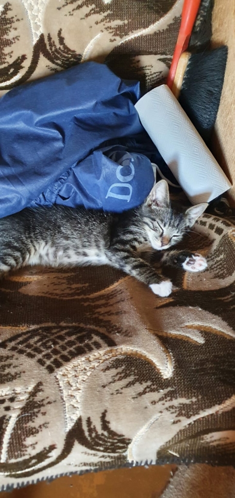 Autors: no privātā arhīva