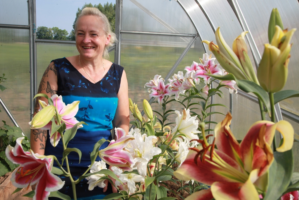 Aija Mičule priecājas, ka ne tikai viņa, bet arī citi ar prieku iet garām viņas liliju siltumnīcai, priecājoties par liliju skaistumu un baudot saldi reibinošo aromātu. “Ja mazā telpā ienes lilijas, tad jārēķinās, ka smarža būs ļoti intensīva,” saka Aija.
Autors: Gatis Bogdanovs