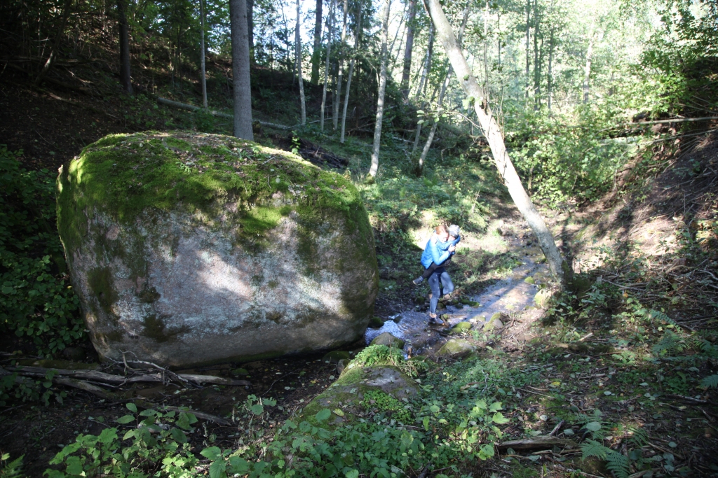 Plēķu dižakmens atrodas Galgauskas pagastā un kļuvis par samērā iecienītu apskates objektu. Tie, kas to spēj atrast, labprāt arī fotografējas pie tā, lai redzētu, cik cilvēks pret to ir niecīgs. 
Autors: no “Dzirksteles” arhīva