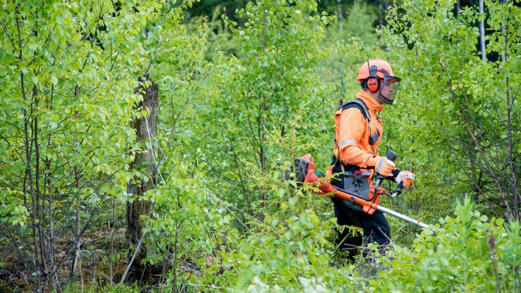 Autors: publicitātes foto