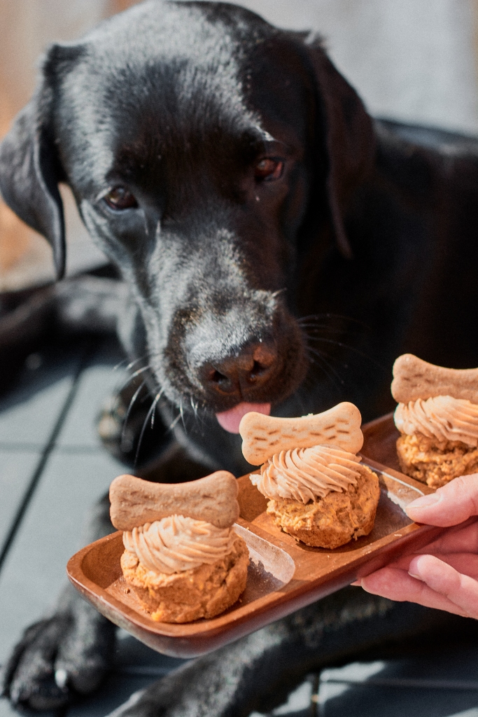 Autors: Viktorija Kožemjakina